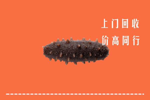 德州回收海参